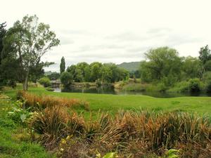 Home and tourism business opportunity in Central Plateau New Zealand